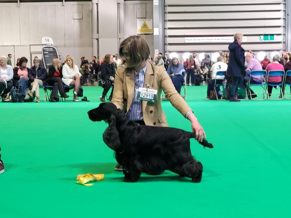 CH. Pourquoi pas de Mazamé