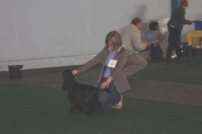 de Mazamé - Nouvelles d'expositions